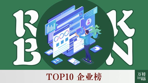 2021年中國(guó)人力資源服務(wù)行業(yè)TOP10企業(yè)榜 軟件外包服務(wù)領(lǐng)域洞察