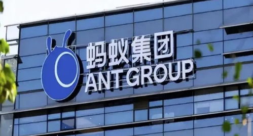 螞蟻集團旗下數字螞力科技增資至1億，軟件外包服務能力再獲提升